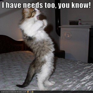 LOL Cats style picture of a cat on it's hind legs with the text "I have needs too, you know!" across the top