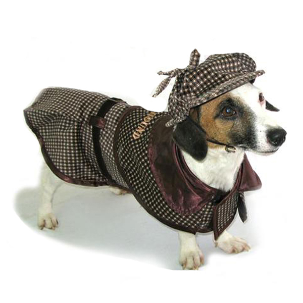 Small dog dressed up in a hat and cloak to look like detective Sherlock Holmes