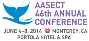 AASECT annual conference banner
