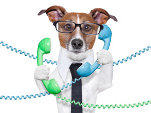 A confused dog wearing a tie, business shirt, and reading glasses answering too many phones and tangled in the phone cords