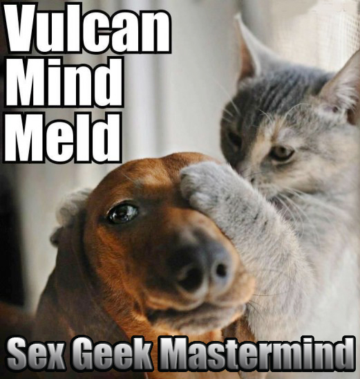 Photo of a cat with it's paw on a dog's face with the tex "Vulcan mind meld" in white letters and "Sex Geek Mastermind" at the bottom in grey and silver