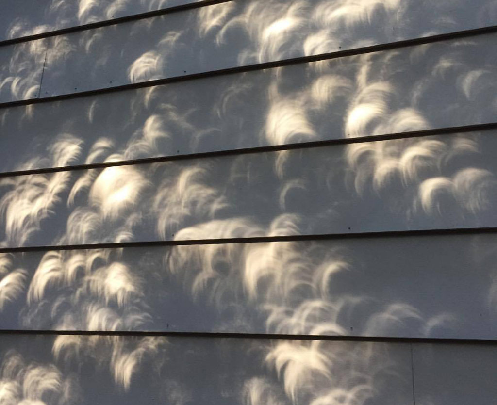Photograph taken during a solar eclipse of crescent-shaped shadows cast against the side of grey painted outside of a house as the light from the solar eclipse comes through the trees. 