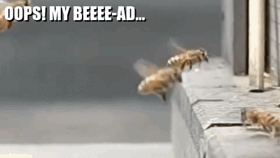 GIF of honey bees landing and taking off from a hive, with two bees colliding in mid-air and falling out of screen, plus the text, "Oops! My Beee-ad..." in white bold letters
