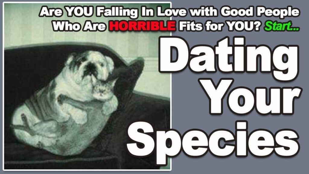 Promo image of a night-vision photo of a bulldog and a cat caught in the act of cuddling on a couch with the text, "Are you falling in love with good people who are horrible fits for you? Start Dating Your Species." 