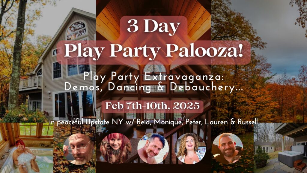 Event Banner for 3-Day Play Party Palooza