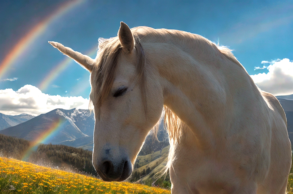 head of a unicorn with a rainbow curving out of the horn