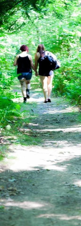 Two feminine people walking together on a path in the woods while holding hands.
