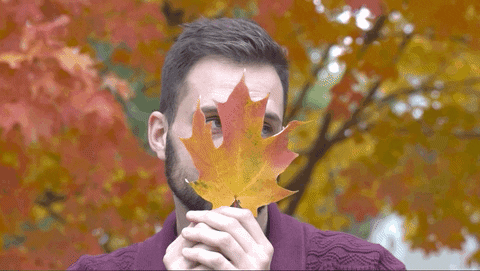 GIF of a white man being very flirtatious with an autumn maple leaf with yellow orange leaves in the background